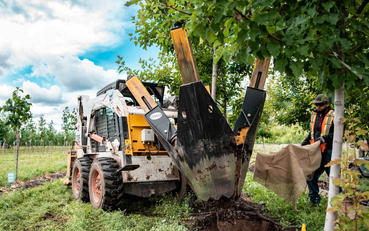 Digging and Shipping