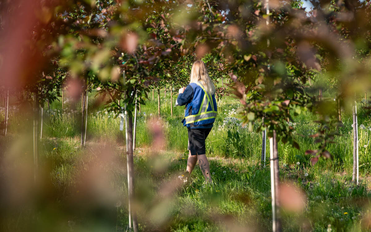 Integrated Pest Management VS. Plant Health